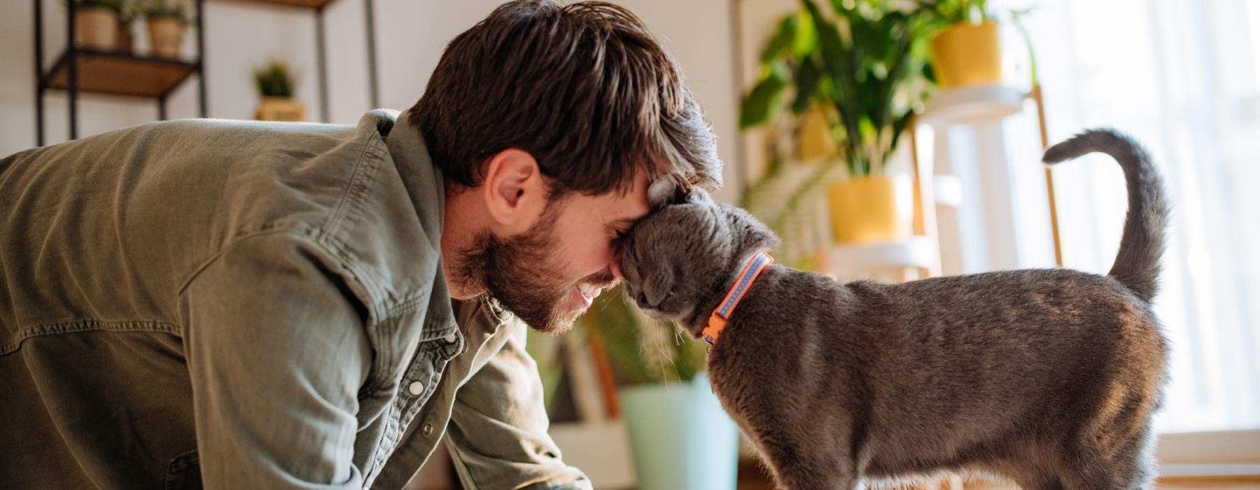 a man and a dog