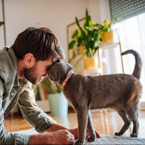 a man and his pet kitty